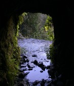 ~ view out the tunnel "window" ~